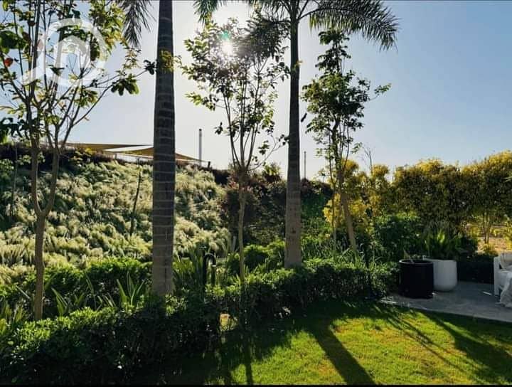 6 FB_IMG_1727180897328. jpg