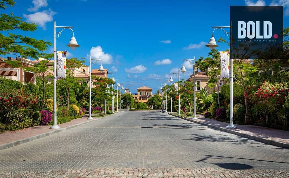 4 IMG_5842-1024x630. jpg