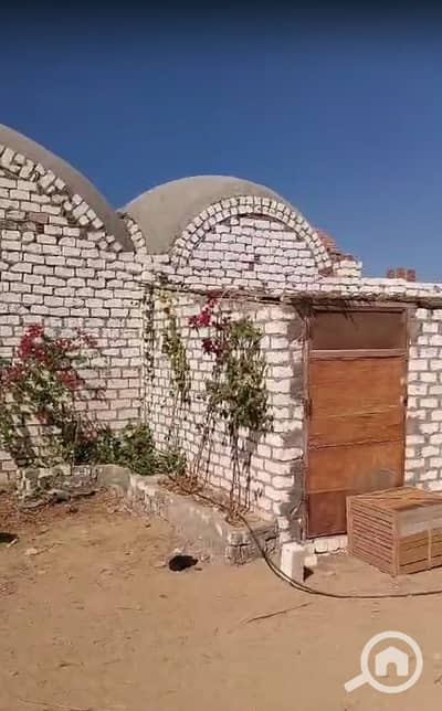 Agricultural for Sale in Ismailia City, Ismailia - Screenshot 2025-11-25 134846. png