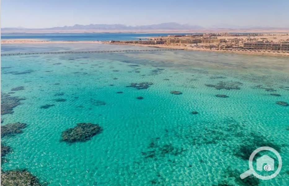 4 Screenshot_27-2-2024_14495_. jpeg