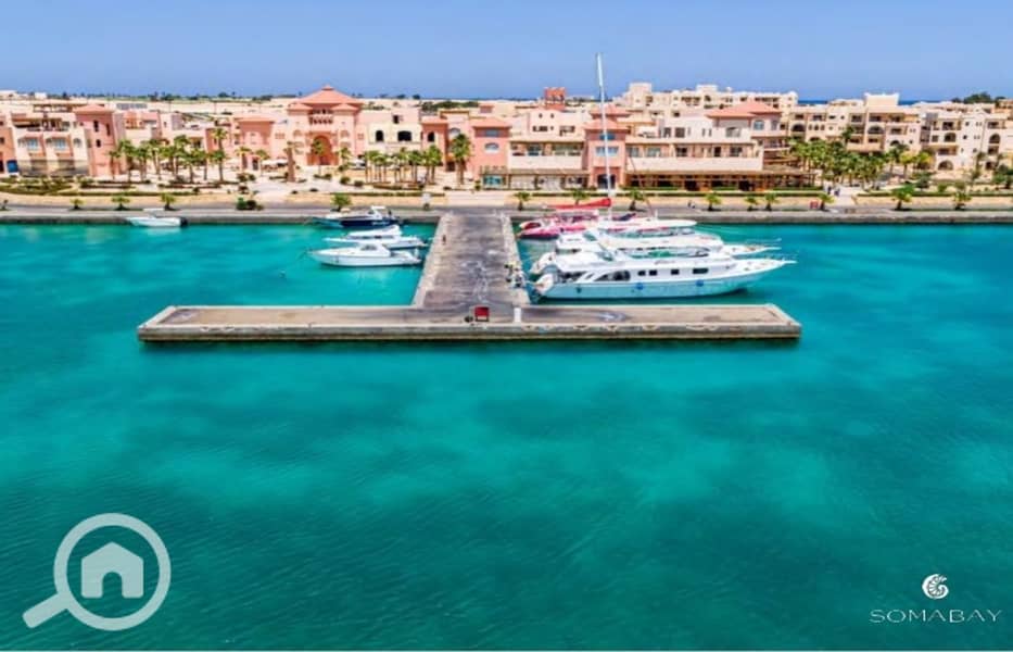 5 Screenshot_27-2-2024_144635_. jpeg