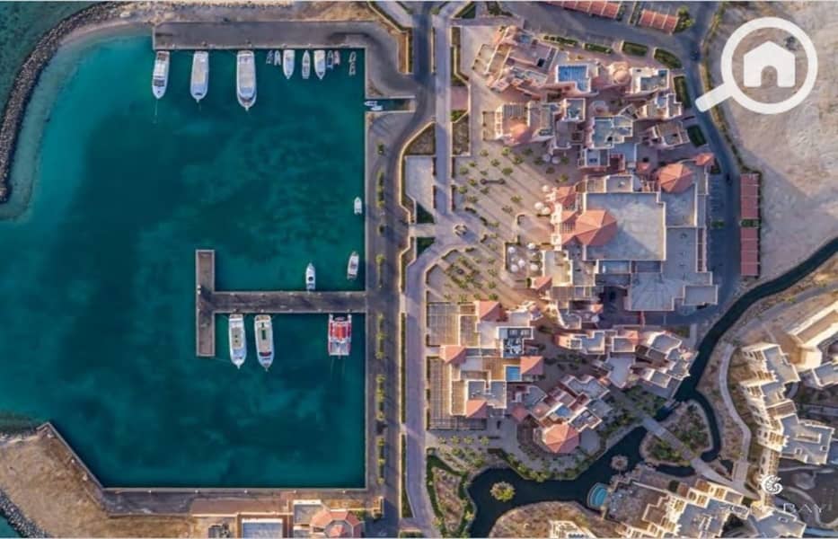 6 Screenshot_27-2-2024_144653_. jpeg