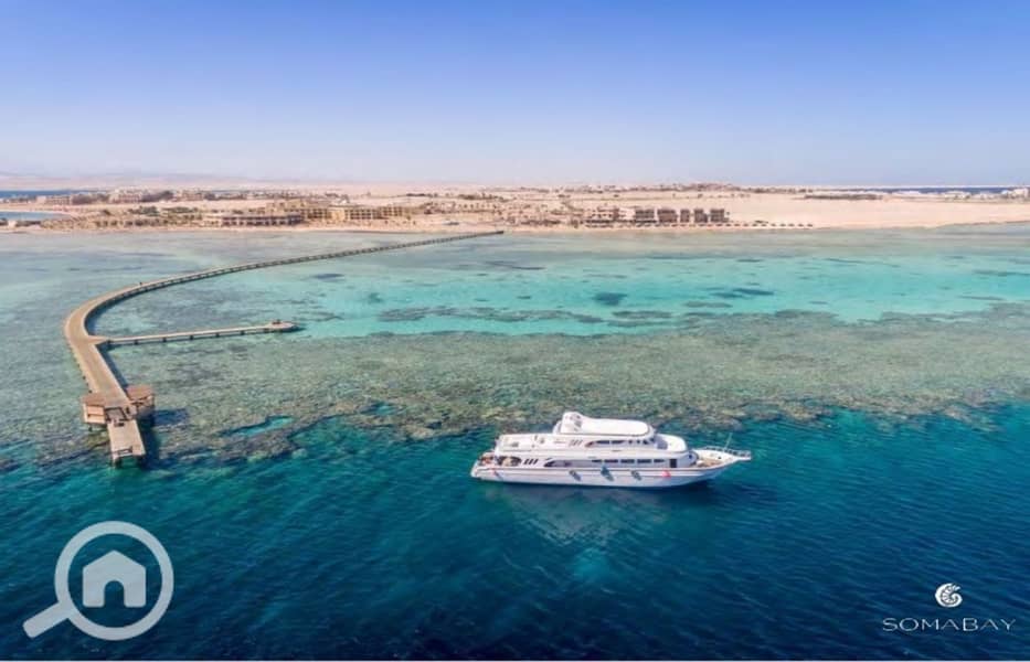 7 Screenshot_27-2-2024_144714_. jpeg