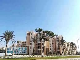 11 image356545641s. jpg