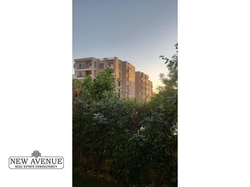 6 WhatsApp Image 2025-11-25 at 1.33. 07 PM (4). jpg