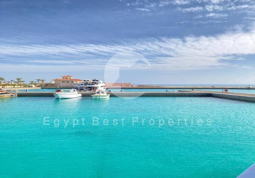 17 WhatsApp Image 2024-03-06 at 11.59. 42_c7a13f1b. jpg