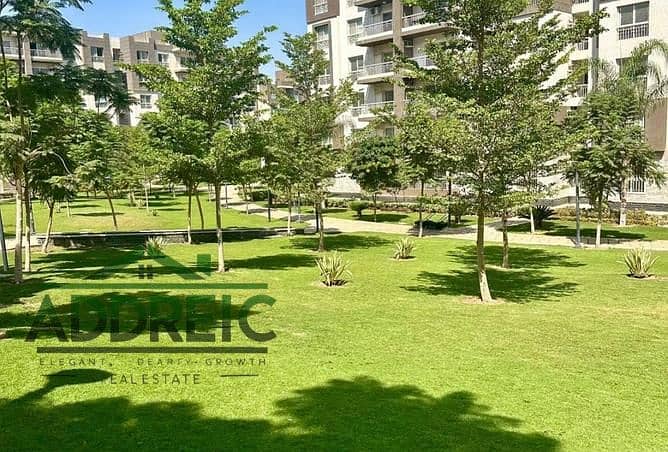 2 8311456-5b2e6o. jpg