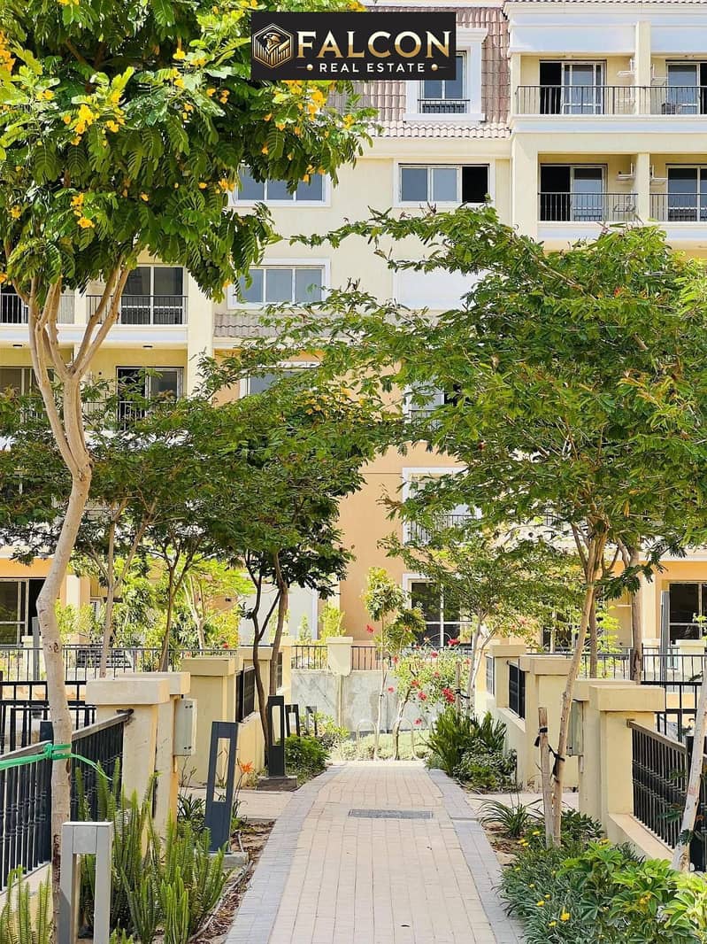 7 560612541_24459132330436716_7826200328637442649_n. jpg