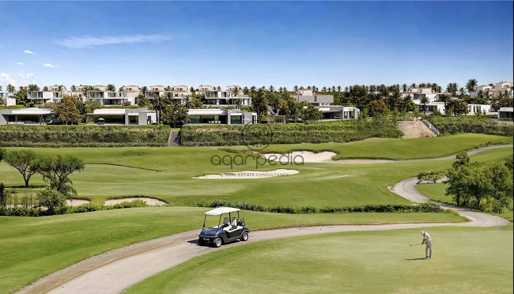 5 JadeHills__2_. jpg