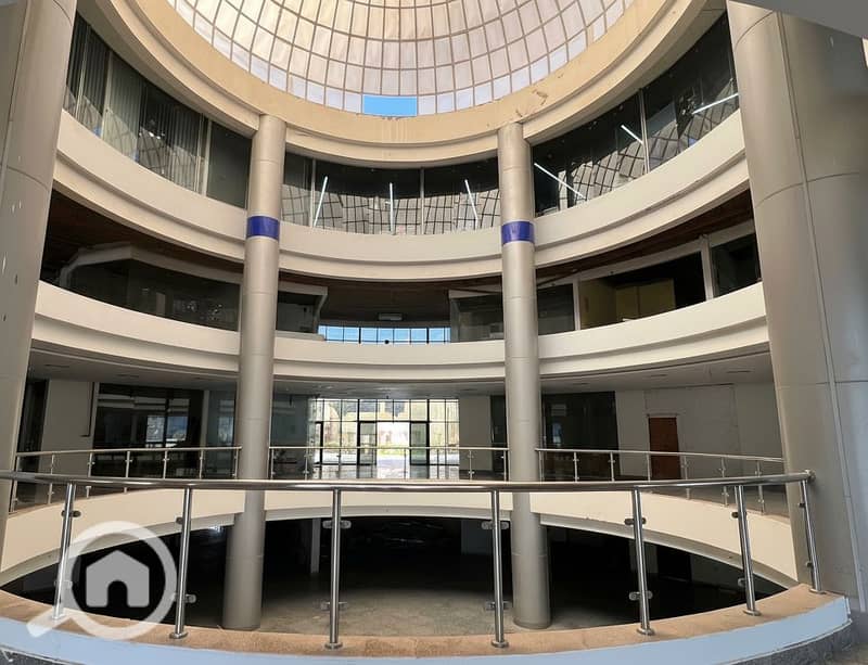 8 Generated Image September 23, 2025 - 2_06PM. png