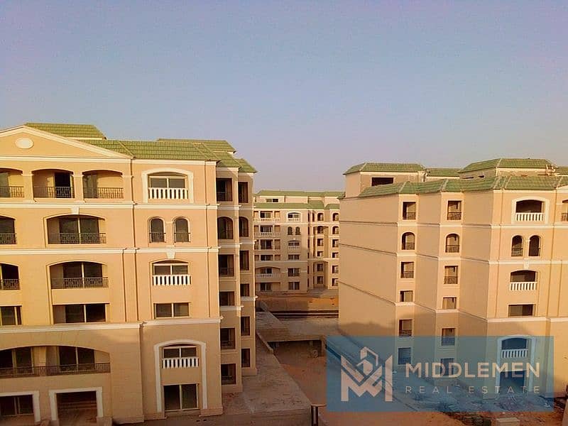 IMG-20251005-WA0048. jpg IMG-20251005-WA0048. jpg