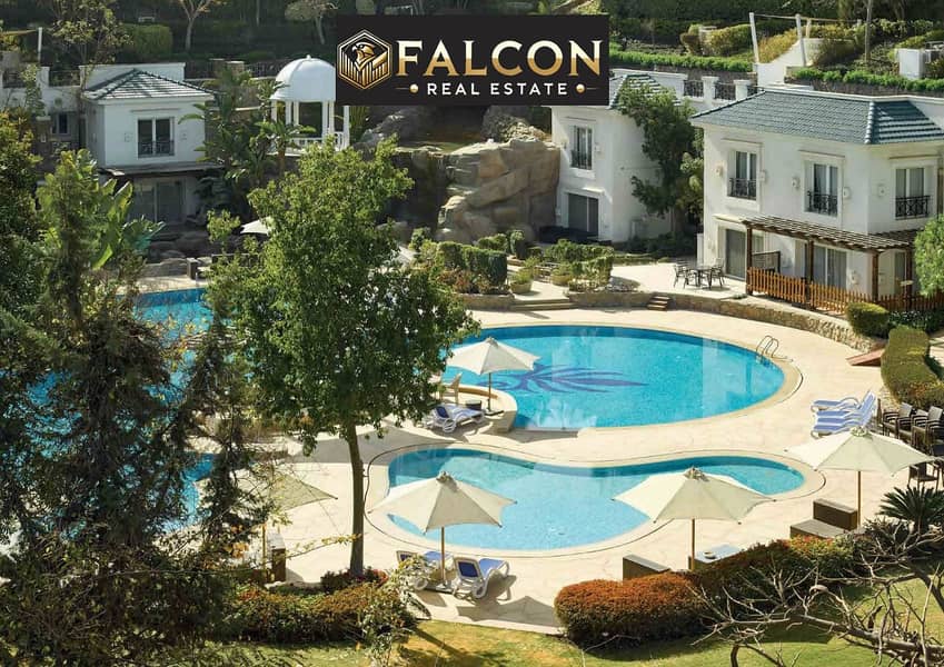 2 WhatsApp Image 2022-10-24 at 17.31. 13. jpg