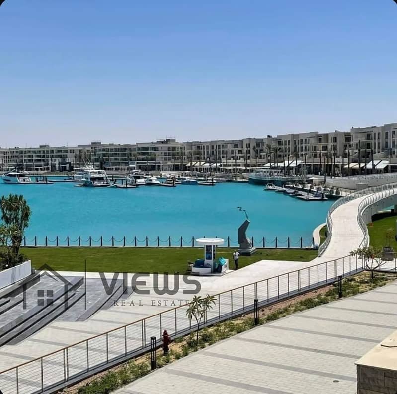 4 WhatsApp Image 2025-09-25 at 2.29. 11 PM (1). jpeg