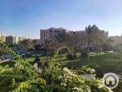 فلیٹ 2 غرفة نوم للايجار في القاهرة الجديدة، القاهرة - 1000439519. jpg