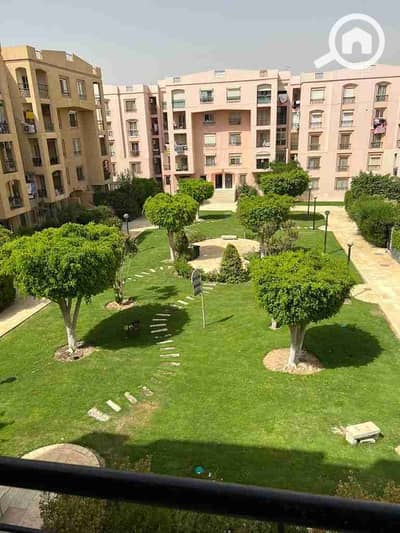 فلیٹ 3 غرف نوم للايجار في القاهرة الجديدة، القاهرة - 1000219680. jpg