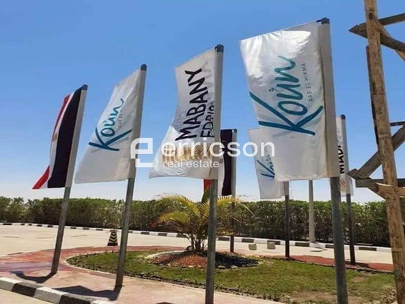 3 Untitled design (3). jpg