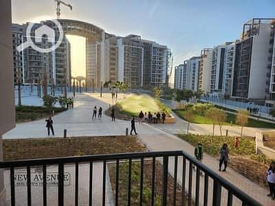 7 156811904-400x300. jpeg