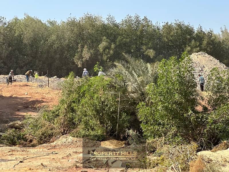 5 WhatsApp Image 2025-11-25 at 12.53. 48 PM. jpeg