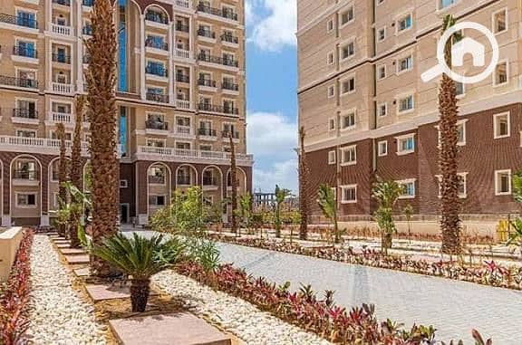 6 072fcaf6-dc8f-4f32-a52d-0a49498a8f8a. jpeg