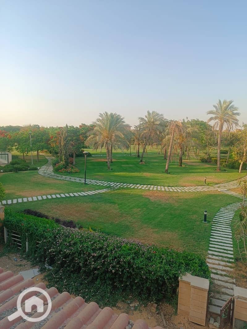 7 7e88fe92-ecbd-49d0-bd72-03f510f12c56. jpg