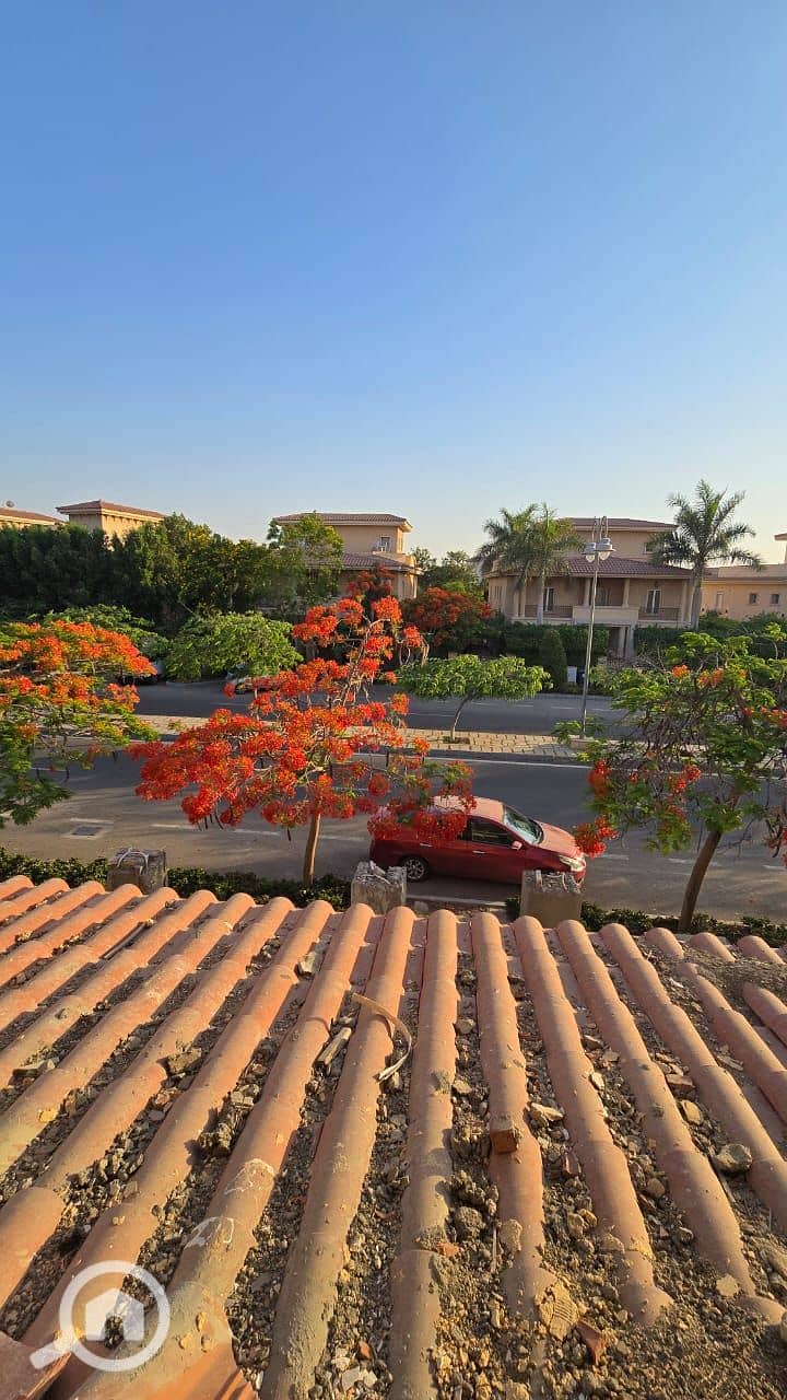 12 39b15016-519e-46ae-843e-8350348ea8c4. jpg