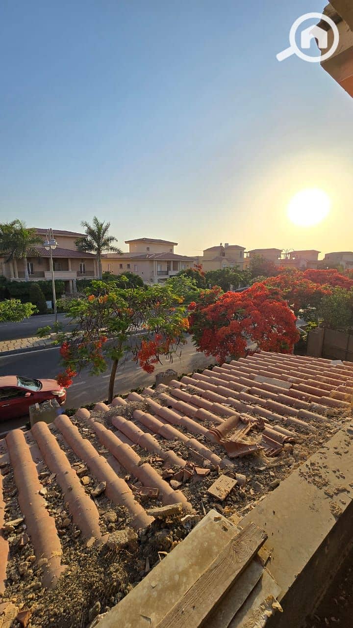 24 23439baf-6435-46d7-bce3-8e12900f61a6. jpg