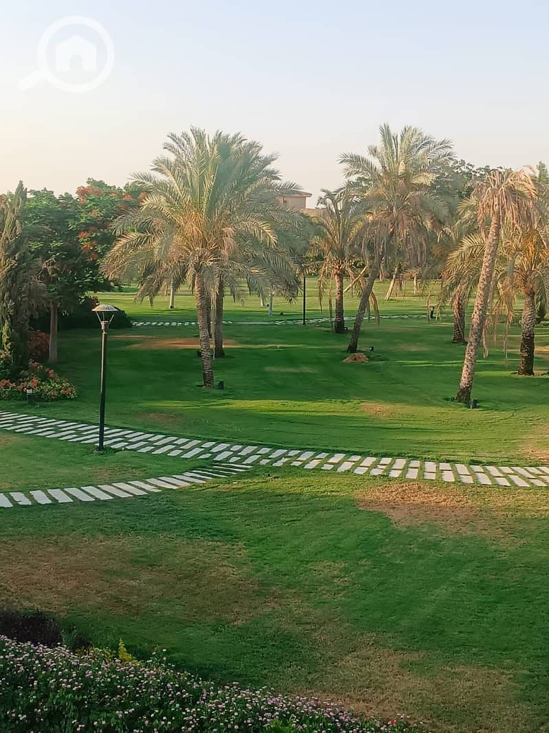 33 bbeac463-846c-43a7-9247-89b520269bb5. jpg