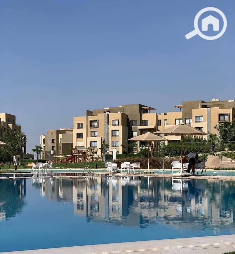 11 480296170_4338615346365938_5392054424583553100_n. jpg