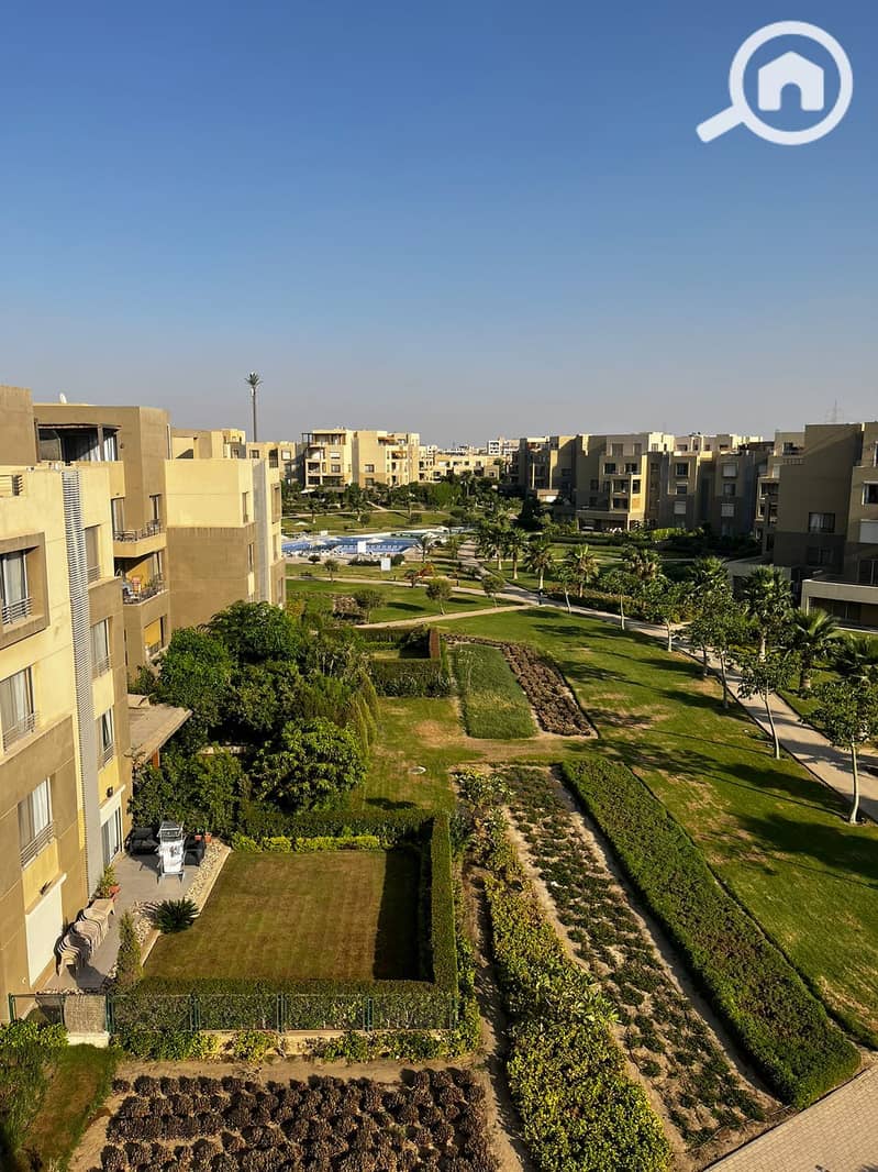 15 449282284_1844357242694650_1322397104588733488_n. jpg