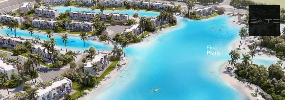 4 376777276_262715293344527_6943755972031472294_n. jpg