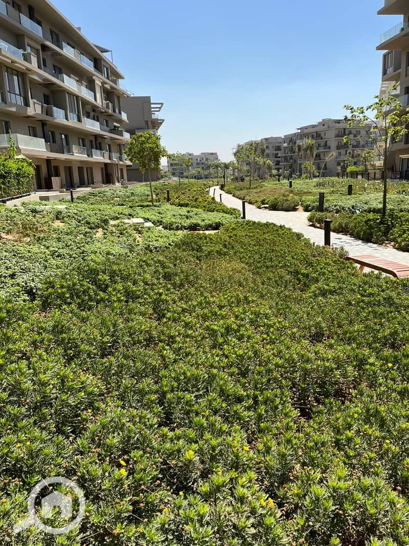 8 WhatsApp Image 2025-09-03 at 5.08. 59 PM (3). jpeg