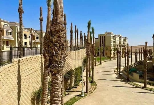 10 52bbeb77-bc22-402b-8539-c43c054c0911. jpeg