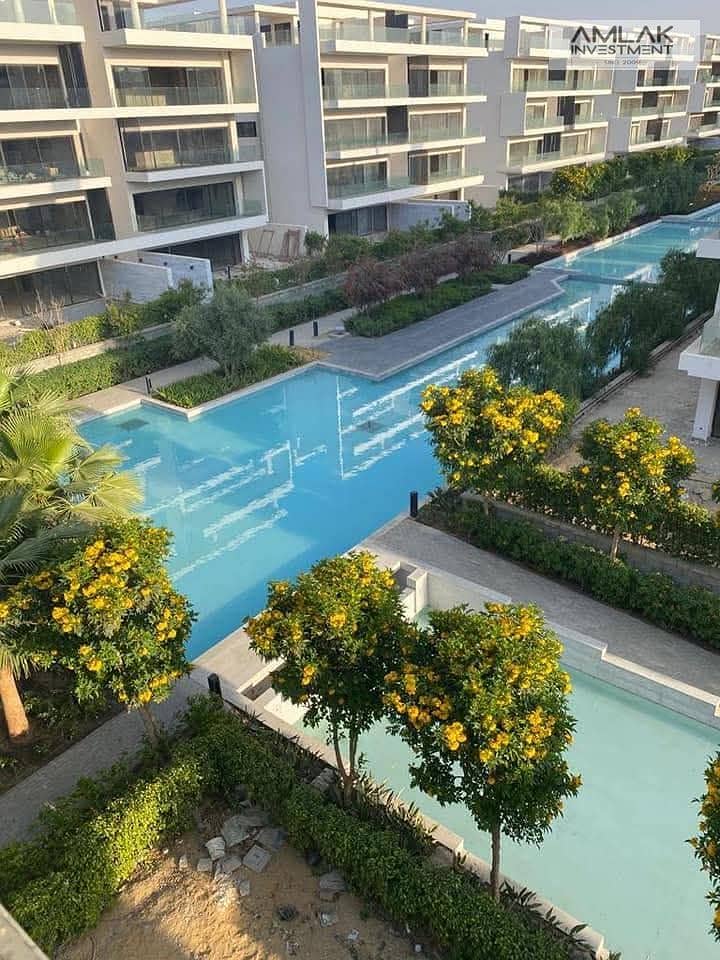 12 279195de-de2b-4cbf-a704-334f44d5a31c. jpeg