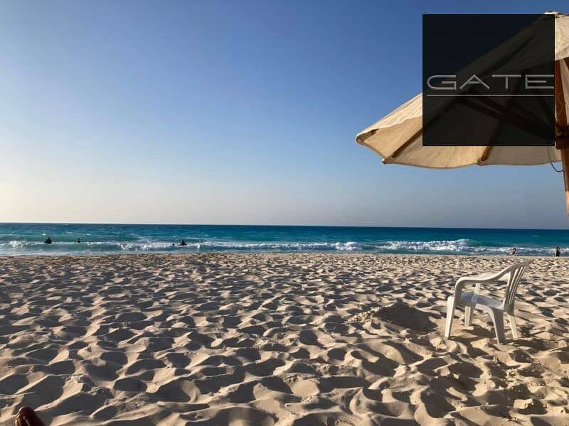 4 shutterstock_2343221451-1-800x600. jpg