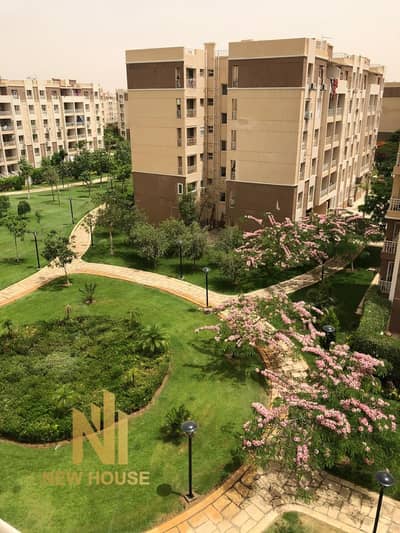 3 Bedroom Flat for Rent in Madinaty, Cairo - WhatsApp Image 2025-11-25 at 3.14. 01 PM. jpeg