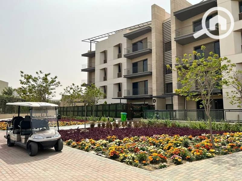 7 530410885_24403081139311369_6318694103539848996_n. jpg