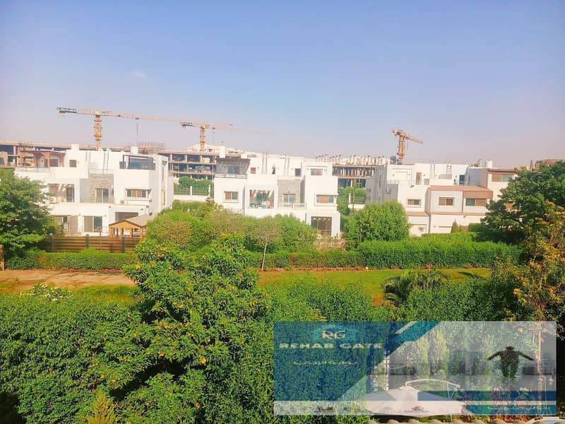 4 3cadd561-d382-4a66-a01f-550345b31bb3. jpg