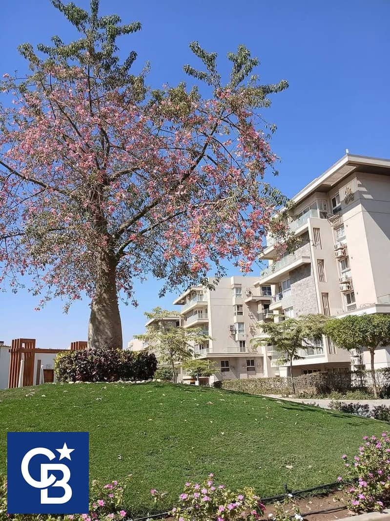 8 531272700_1298410421866932_7743045816996954376_n. jpg