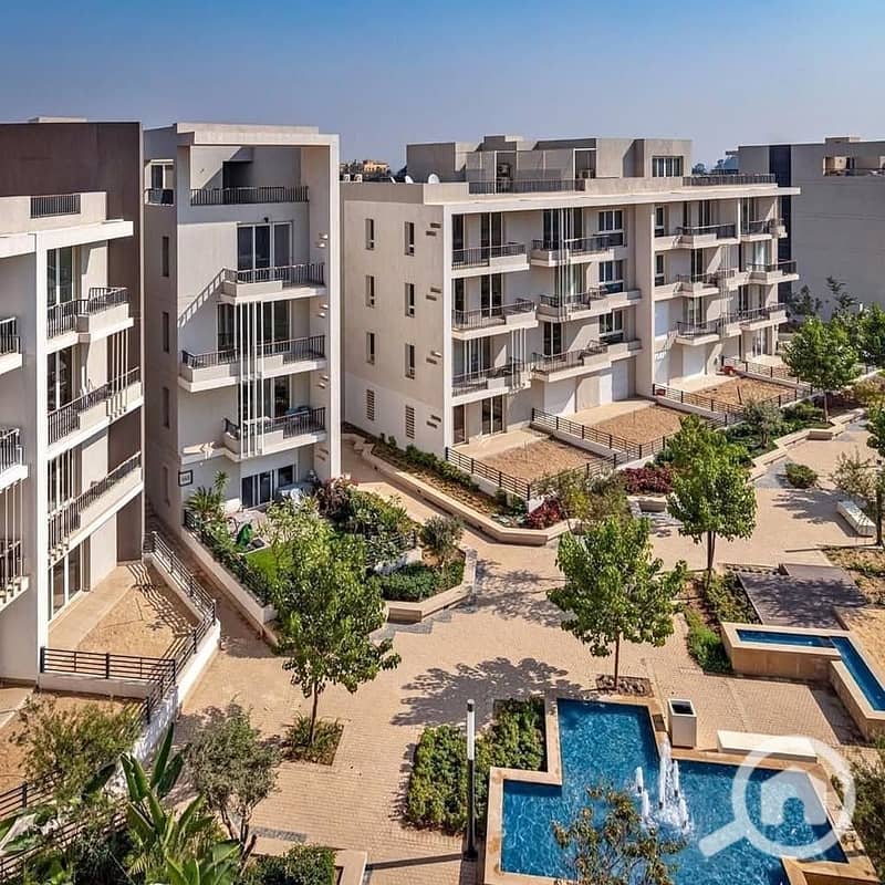 7 Copy of 497218776_579589038502237_99737959845345244_n. jpg