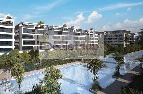 10 586208010_122183657594373915_5021854179315626879_n. jpg