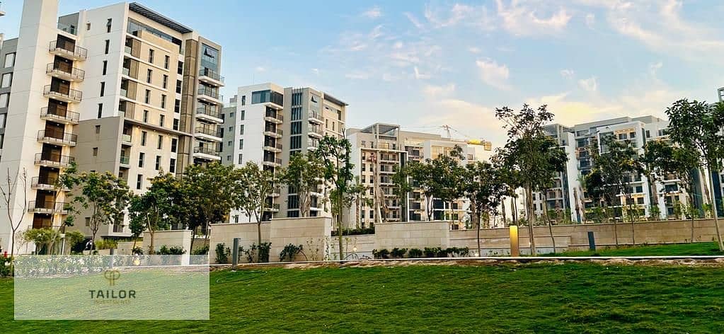 11 WhatsApp Image 2024-12-01 at 16.31. 47. jpeg