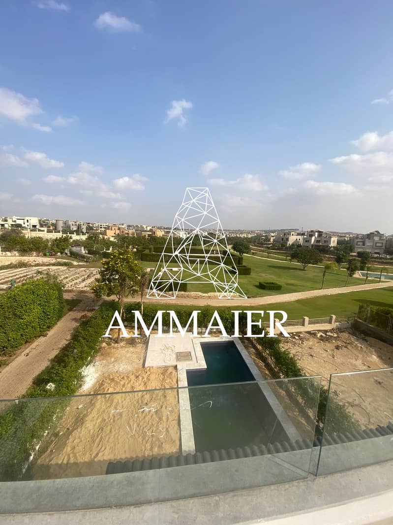 6 1ae36f41-65b6-461d-b0d6-c57b4d118fe6. jpg