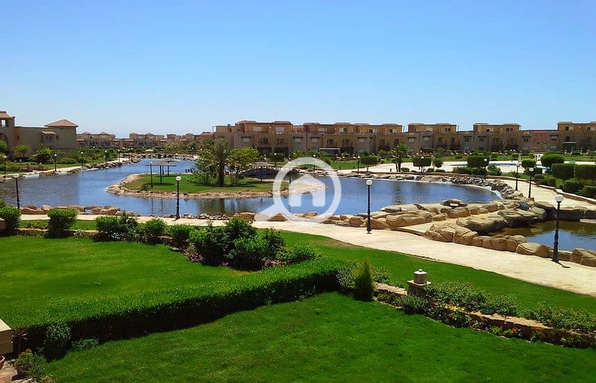 5 1282416-0557do. jpg