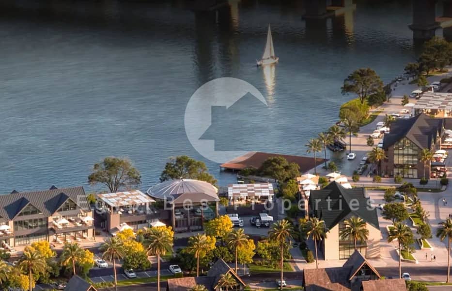 4 high (1) (Custom). png