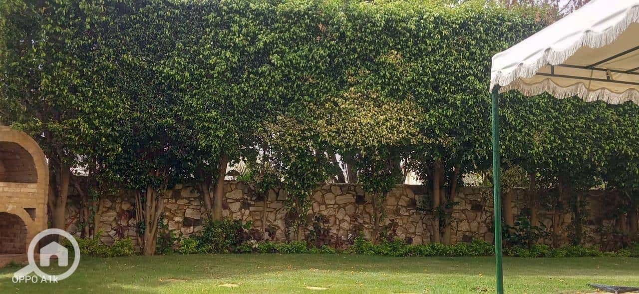 10 WhatsApp Image 2025-11-25 at 3.41. 51 PM. jpeg