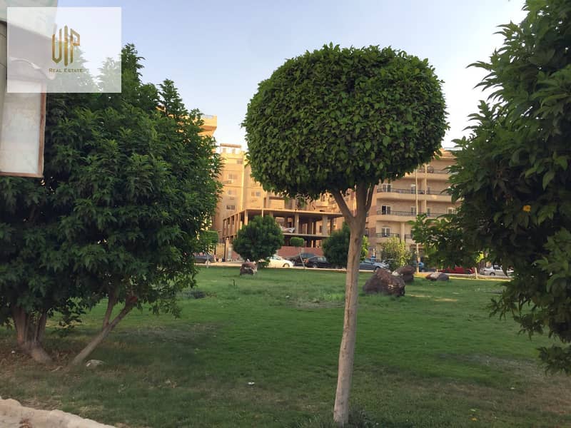 6 WhatsApp Image 2025-11-25 at 3.41. 55 PM (2). jpeg