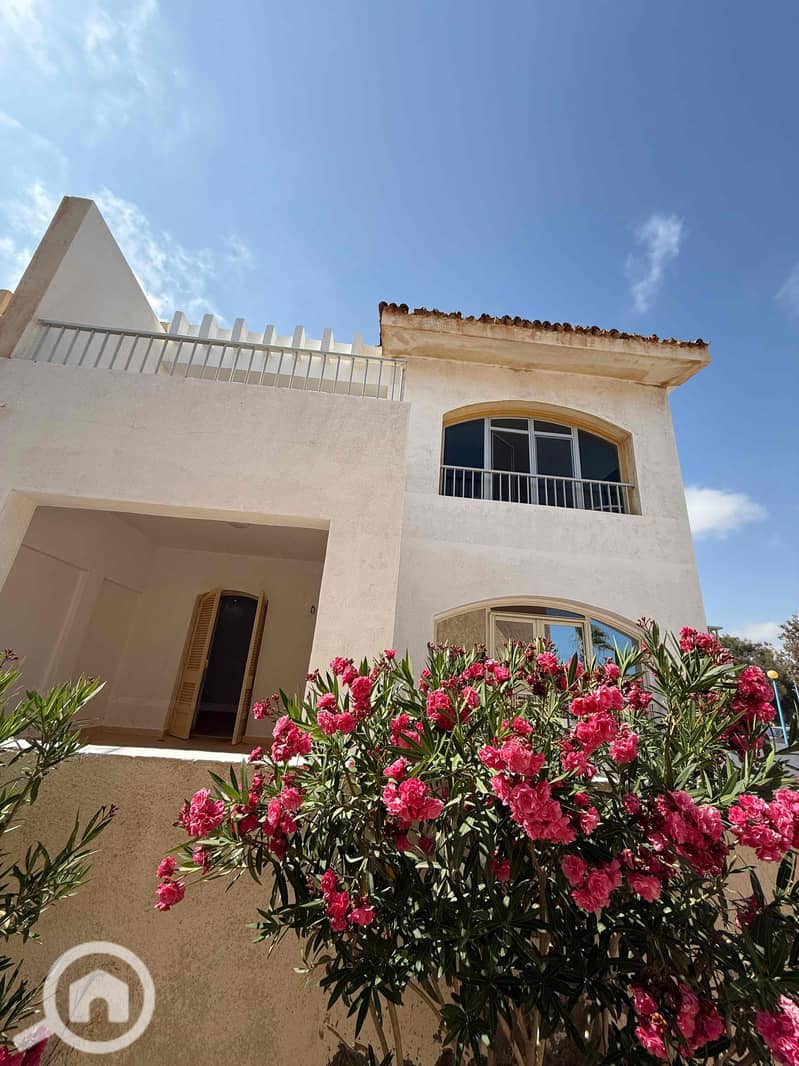 15 82bc7596-4cb3-48ed-be3c-1c498cdf1f82. jpg