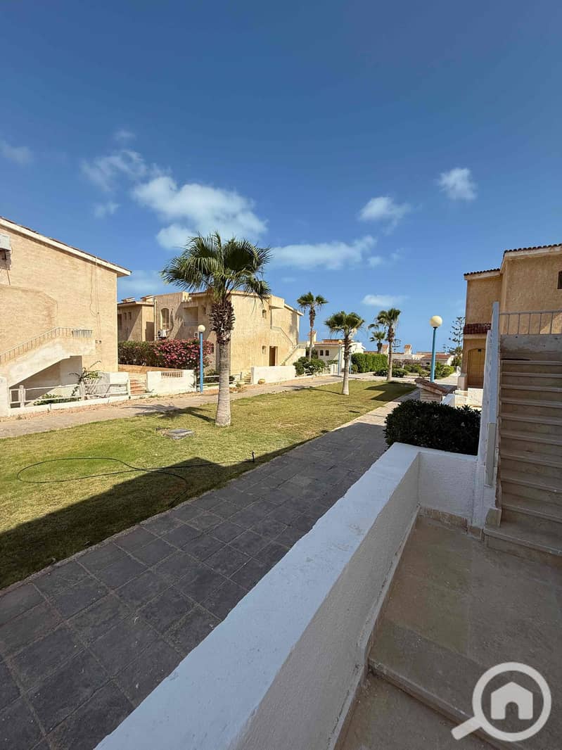 16 b5ae6b82-d415-42ce-a878-5e25b0395c37. jpg