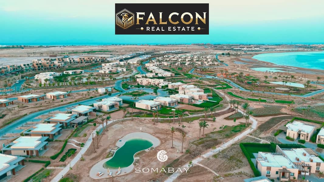 5 WhatsApp Image 2025-10-06 at 14.23. 07_6a36c50a. jpg