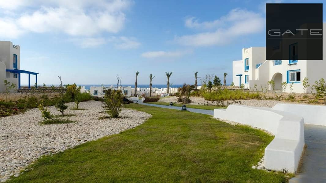 353011756_6473862949361778_7412400960235789590_n. jpg